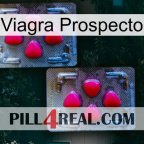 Prospecto Viagra 14